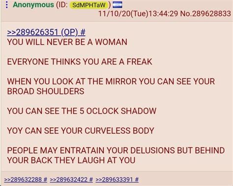 ynbaw|you have no womb copypasta.